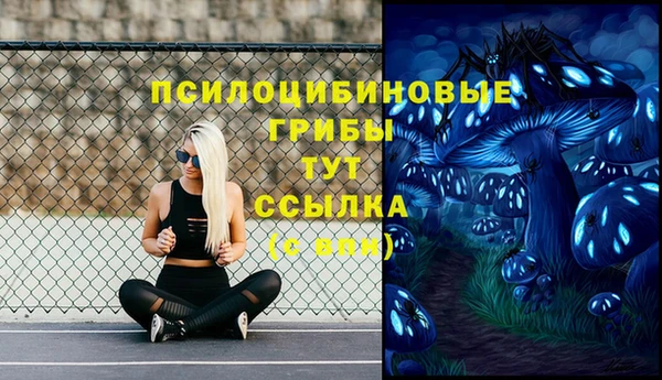 a pvp Зеленодольск