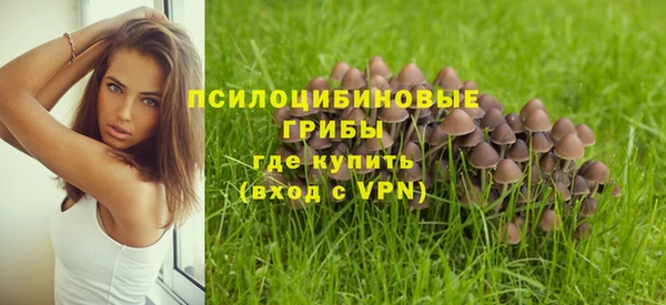 дмт Зерноград