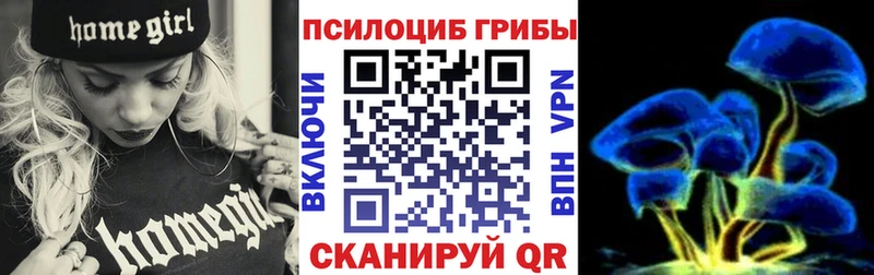 Купить где  Костомукша  Псилоцибиновые грибы Cubensis 